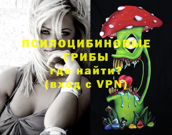 стафф Куйбышев