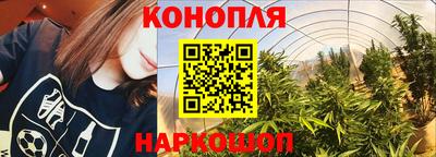 a pvp Гай