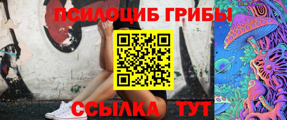 Псилоцибиновые грибы Psilocybine cubensis Нижнекамск